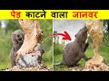 जानवरों का ऐसा व्यवहार देख के आप भी चौंक जायेंगे। STRANGE ANIMALS BEHAVIOUR.