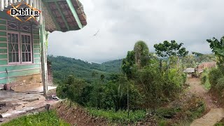 Suasana pedesaan di kampung tengah hutan,pemandangan alam desanya yang indah,