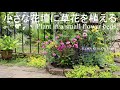 小さな花壇に草花を植える【秋まで休まず咲く植物を使って】初夏のガーデニング-フローラ黒田園芸-＊字幕をONにしてご覧いただくと、解説が入ります。4K ULTRA HD