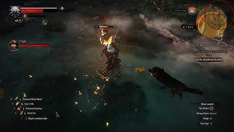 Practicum in Advanced Alchemy | Part - II | The Witcher 3 : Wild Hunt | 1080P |