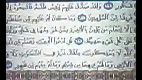 صوت جميل بس مين يعرف اسم القارئ ؟