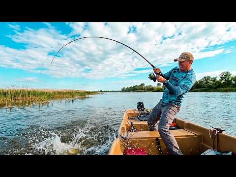 WE DIDN'T EXPECT A BITE LIKE THIS! DREAM FISHING IN ASTRAKHAN. Fishing in Astrakhan 2026.