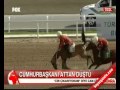 Cumhurbaşkanı Attan Düştü! | Türkmen At Bayramı