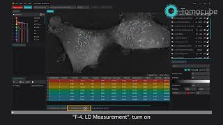 TomoAnalysis Tutorial 7 — Reviewing Results and Exporting