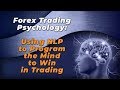 Forex Trading Psychology Using NLP part 3