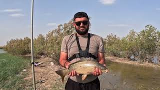 Рыбалка в Узбекистане . Пожар.  жор сазана , Начало сезона , Baliq ovi sezoni boshlandi . Uzbekiston