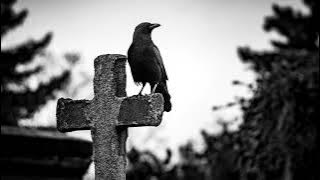 Garik Garik - А я ещё посижу