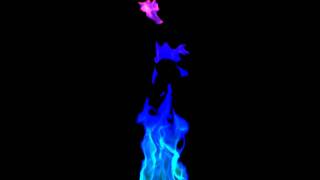 Phoenix FD test 2