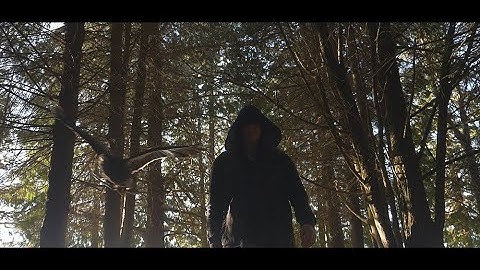 Pledge - Doom & Redemption (Official Music Video)