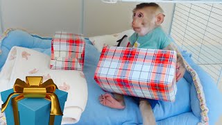 Monkey Pupu opens gifts when no one is around.