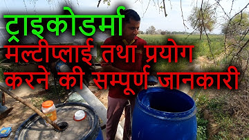 ट्राइकोडर्मा मल्टीप्लाई तथा प्रयोग करने की सम्पूर्ण जानकारी | trichoderma multiply
