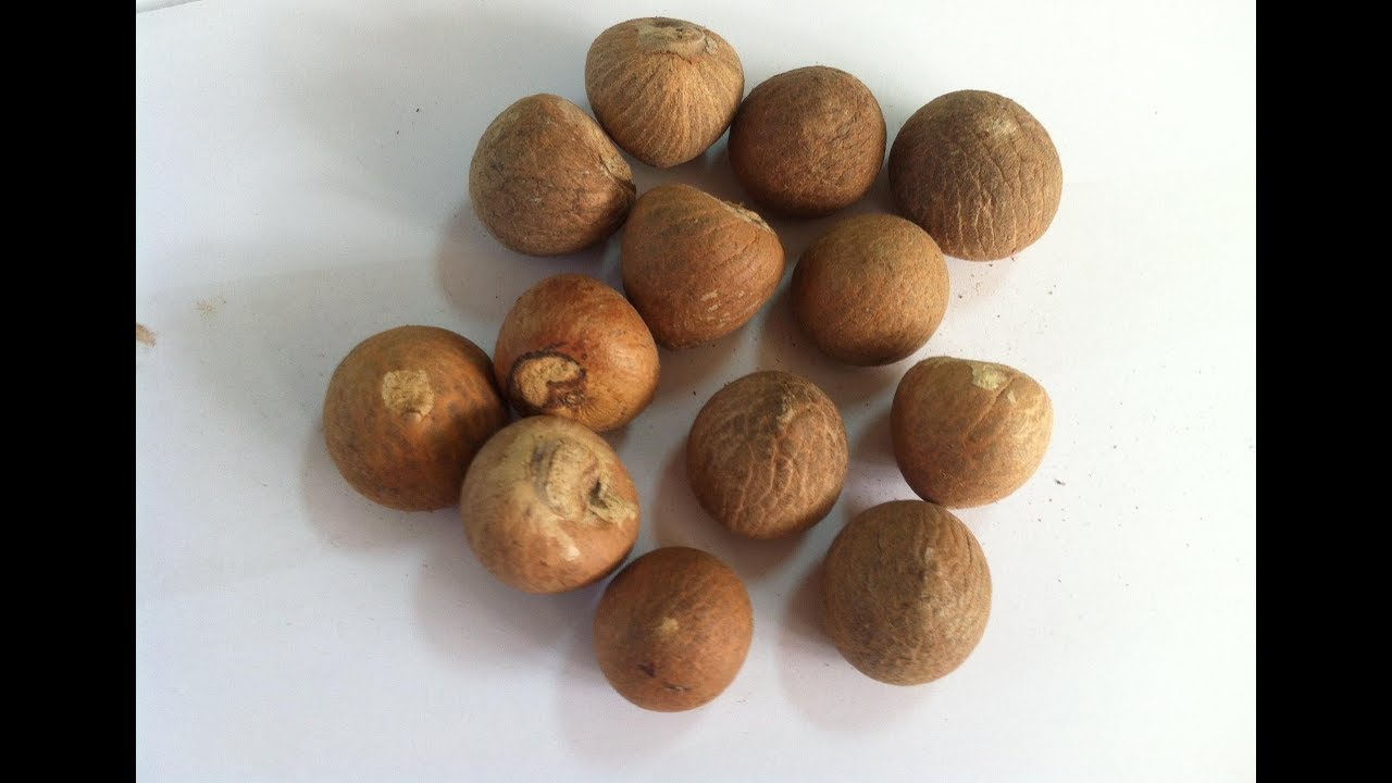 Khasiat Biji Buah Pinang Untuk Kesehatan 