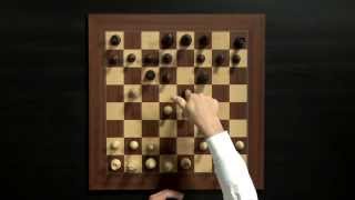 Magnus Carlsen Chess Training on Play Magnus App: How to Play the Opening screenshot 4