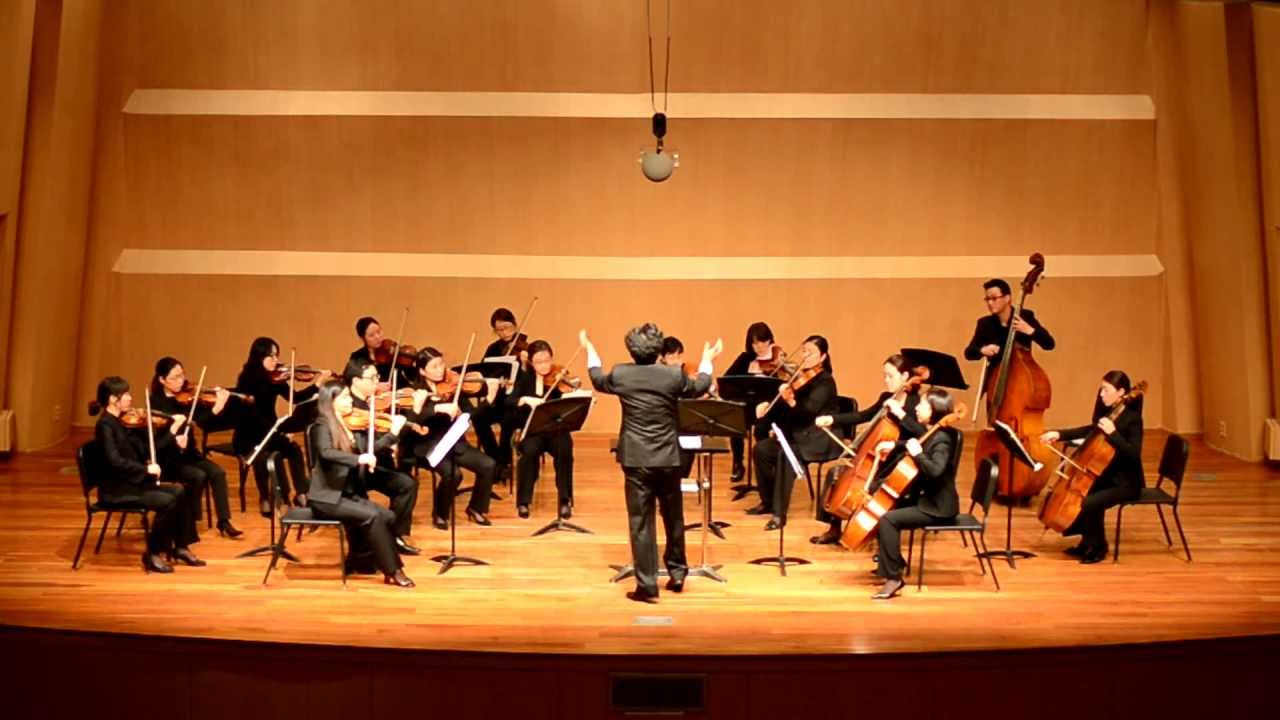 Dvorak Serenade for Strings in E Major Op.22 II.Tempo di valse 서울