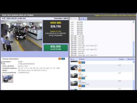 Manheim auto auction / მანჰეიმის ავტო აუქციონი 27.08.2013