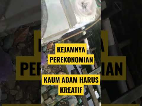 Perempuan, Pilar Ekonomi Digital: Peran Wanita dalam Membangun Ketahanan Ekonomi Keluarga Melalui Bisnis Online