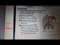 شرح ال Thoracic cage للثانوية العامة بيولوجي لغات | د. محمد خالد