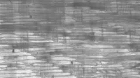 Compression failure of wood