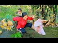 Village Cooking - Women Found bamboo shoot at river - Cooking curry pig for food At night