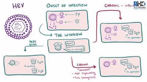 Hepatitis A, B, C, D, E   causes, symptoms, diagnosis, treatment & pathology