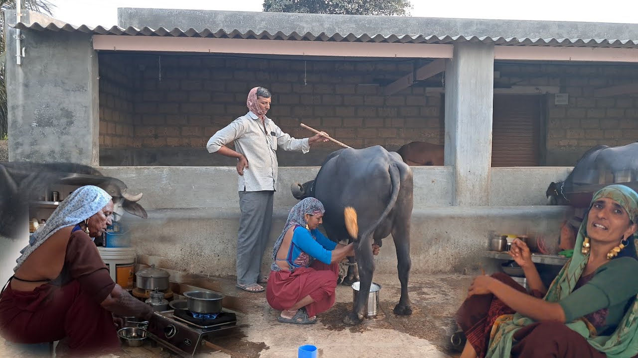 ઓરો ને બાજરાના રોટલાનો પ્રોગ્રામ...😋