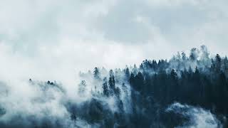 ElevenEleven - In The Night
