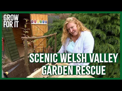 You Won't Believe This AMAZING Garden Transformation - GARDEN RESCUE ...
