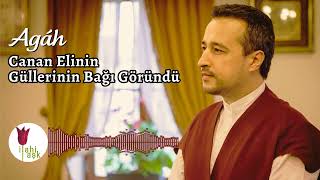 Agâh - Canan Elinin Güllerinin Bağı Göründü Resimi