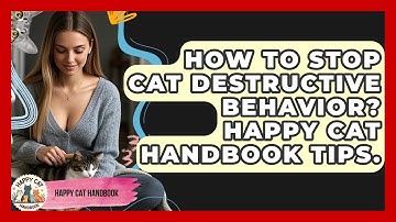 How To Stop Cat Destructive Behavior? Happy Cat Handbook Tips. - Happy Cat Handbook