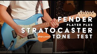 Fender Player Plus Stratocaster Tone Test - Sherwood Music