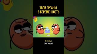 Твои органы в беременность🤭 #акушергинеколог #юмор #роды #беременность #прикол #акушерство