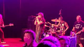 Circle Jerks at The Commodore Ballroom (July 3rd 2022) 4 of 4