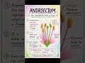 2nd puc biology, sexual reproduction in flowering plants(androecium)