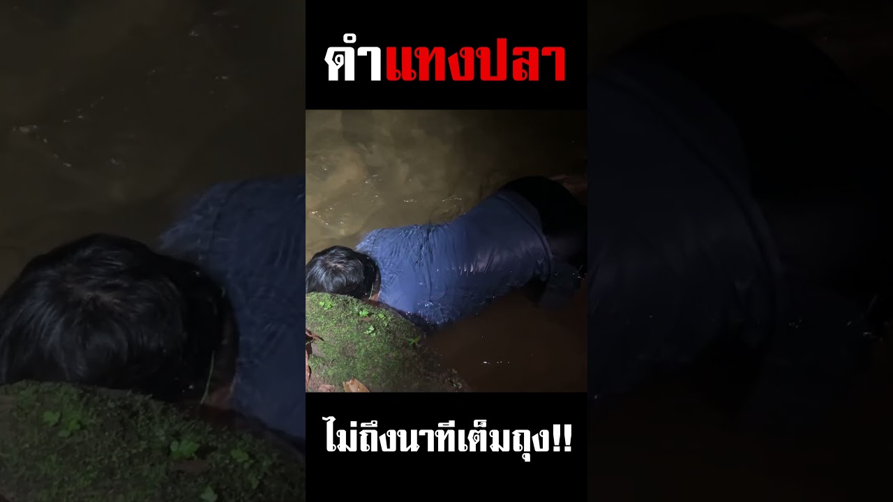 ดำแxงปลา แปปเดียวเป็นโล!! #djpoom #คนหัวครัว #ดีเจภูมิ