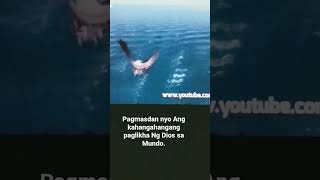 Superbook Tagalog. Ang kahangahangang paglikha Ng Dios sa Mundong ito.