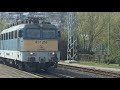 Üdv!! Hangos kürtel figyelmezteti a gyalogost a szili🥹🥹🥹🥹 #szili #máv #train #udv #vonat #v43