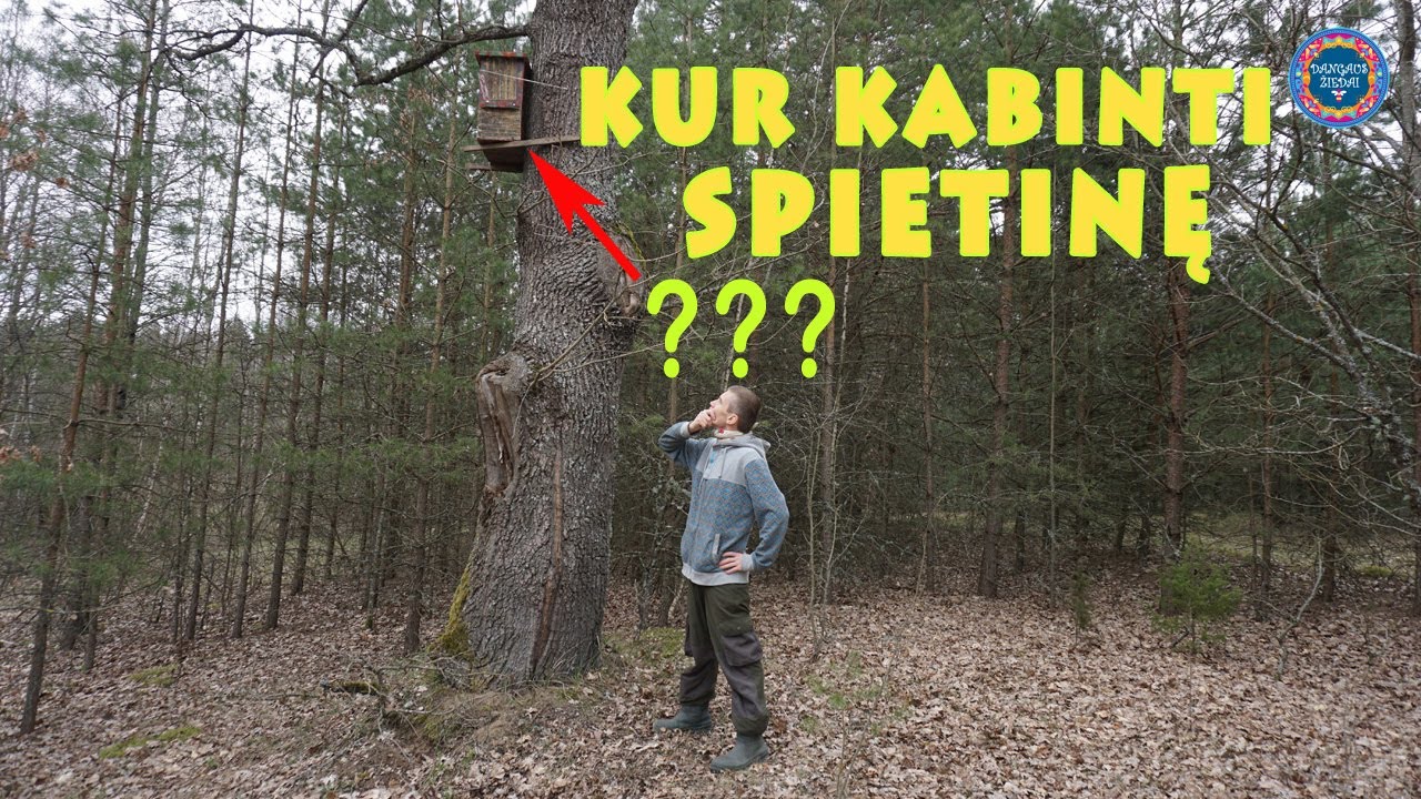 Kur kabinti spietinę?