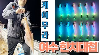 여수한치낚시 본격한치 시즌 마릿수 조황