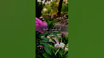 قرآن 