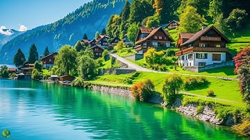 Beautiful Relaxing Music - Stop Overthinking, Stress Relief Music, Sleep Music, Calming Music #49