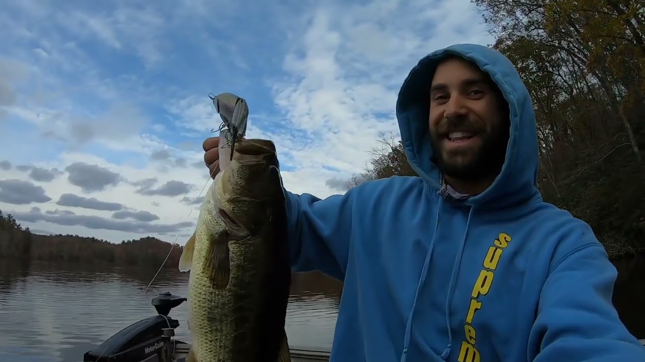 PHONEY FROGS SHAD GLIDE EATS