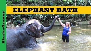 Elephant Bath Play With Orangutan Lombok Wildlife Park Lombok Indonesia