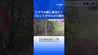 ヒグマが車に体当たり　フロントガラスがひび割れ　北海道根室市の林道｜TBS NEWS DIG #shorts