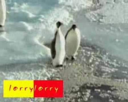 PInguino cabron