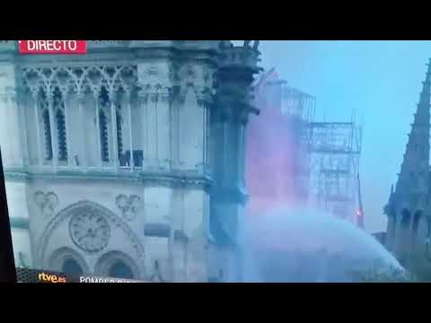 Notre Dame Person of Interest