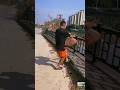 Canal Casting Mastery: Throw Net Fishing for Big Catches #fishing #shortsvideo #canal #net #viral🐠☘️