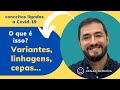 COVID-19: variantes, linhagens e cepas.