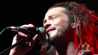 Soja  jannus live 2013