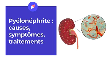 Quelles sont les conséquences d'une pyélonéphrite ?