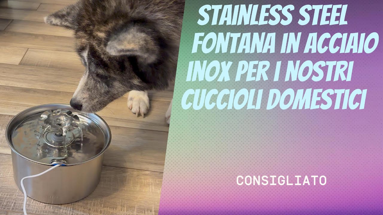 Ecco la fantastica fontanella automatica per i nostri amici pelosetti